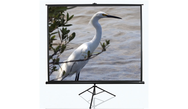 Elite Screens | Tripod Series | T120NWV1 | Diagonal 120 " | 4:3 | Viewable screen width (W) 244 cm |