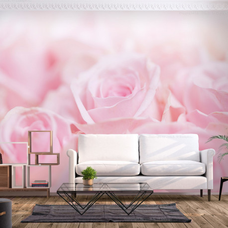 Fototapeet - Ocean of Roses - 450x315