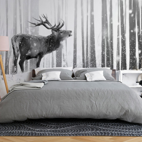 Fototapeet - Deer in the Snow (Black and White) - 250x175