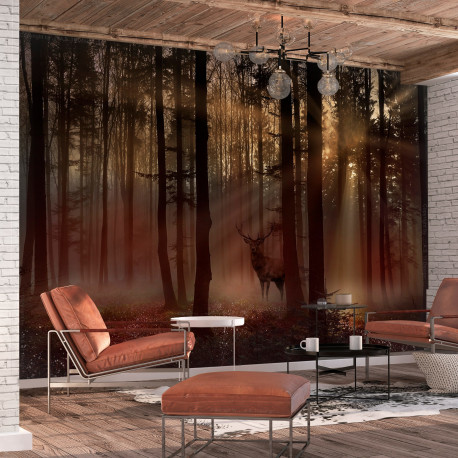 Fototapeet - Mystical Forest - First Variant - 200x140
