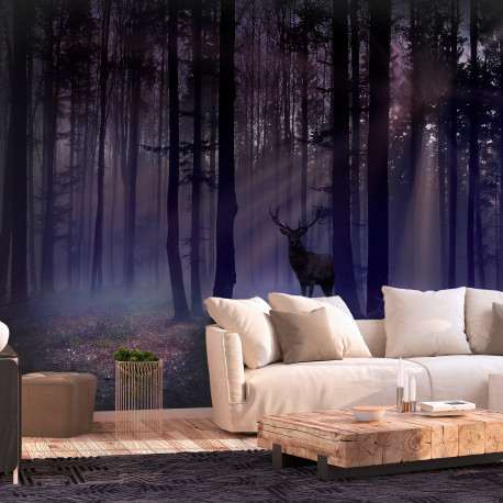 Fototapeet - Mystical Forest - Second Variant - 150x105