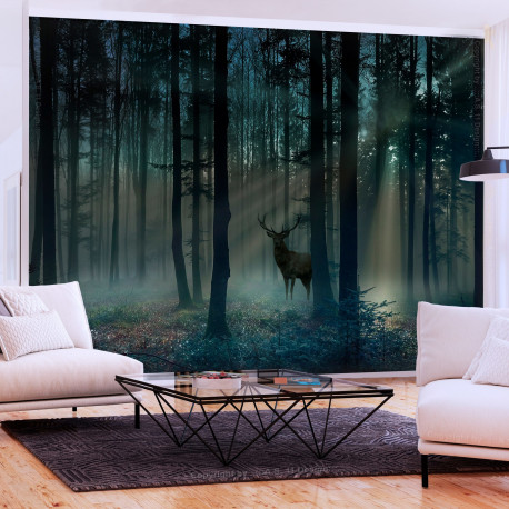 Fototapeet - Mystical Forest - Third Variant - 400x280