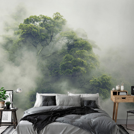 Fototapeet - Foggy Amazon - 400x280