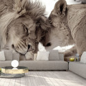 Fototapeet - Lion Tenderness (Sepia) - 250x175