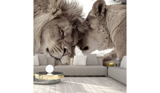 Fototapeet - Lion Tenderness (Sepia) - 400x280