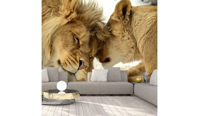 Fototapeet - Lion Tenderness - 200x140