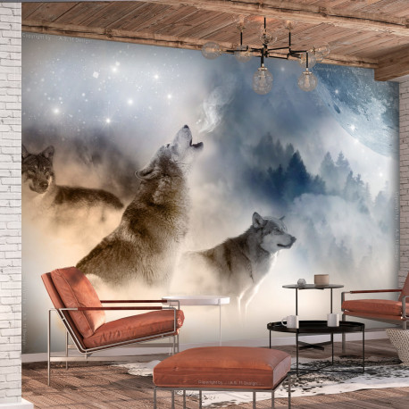 Fototapeet - Pack - 200x140