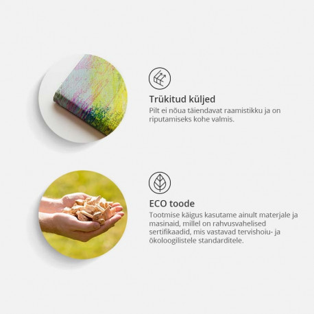 Pilt korgil - Walls of the World  [Cork Map] - 90x60