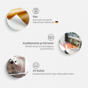 Fototapeet - Dog Integration - 400x280