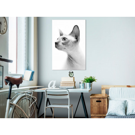 Seinapilt - Hairless Cat (1 Part) Vertical - 60x90