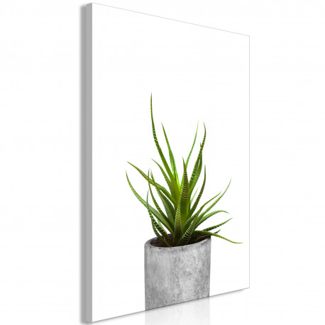 Seinapilt - Haworthia (1 Part) Vertical - 40x60