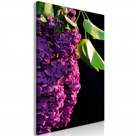 Seinapilt - Colours of Spring (1 Part) Vertical - 80x120