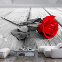 Fototapeet - Abandoned Rose - 150x105