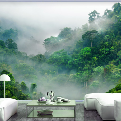 Fototapeet - Morning Fog - 150x105