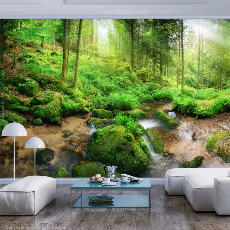 Fototapeet - Humid Forest - 250x175