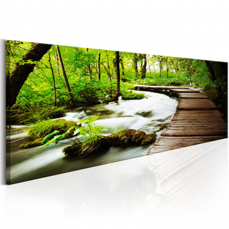Seinapilt - Forest Song - 135x45