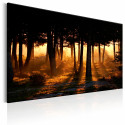 Seinapilt - Forest Dawn - 90x60
