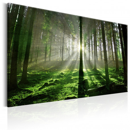 Seinapilt - Emerald Forest II - 90x60