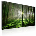 Seinapilt - Emerald Forest II - 120x80