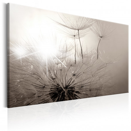 Seinapilt - Beautiful Summer: Dandelions - 90x60