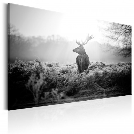Seinapilt - Black and White Deer - 120x80