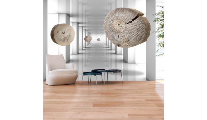 Fototapeet - Inventive Corridor - 150x105