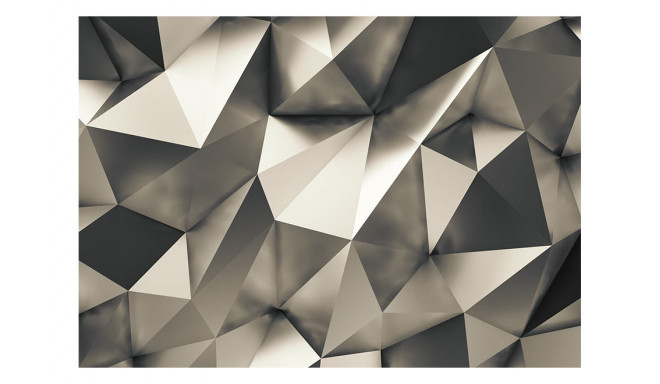 Fototapeet - Cosmic Silver - 400x280