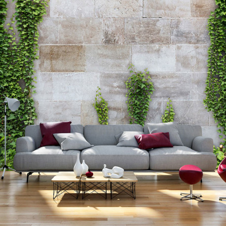 Fototapeet - The Forgotten Garden - 300x210