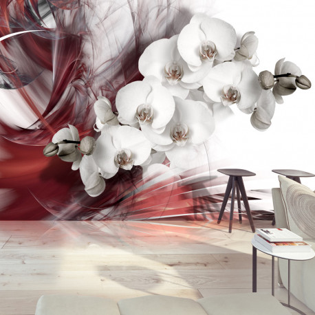 Fototapeet - Orchid in red - 100x70
