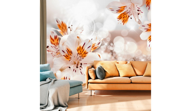 Fototapeet - Lily of the Incas - 300x210