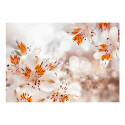 Fototapeet - Lily of the Incas - 300x210