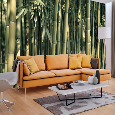 Fototapeet - Bamboo Exotic - 400x280