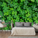Fototapeet - Green Clover - 150x105