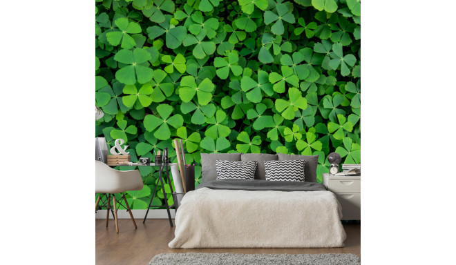 Fototapeet - Green Clover - 300x210