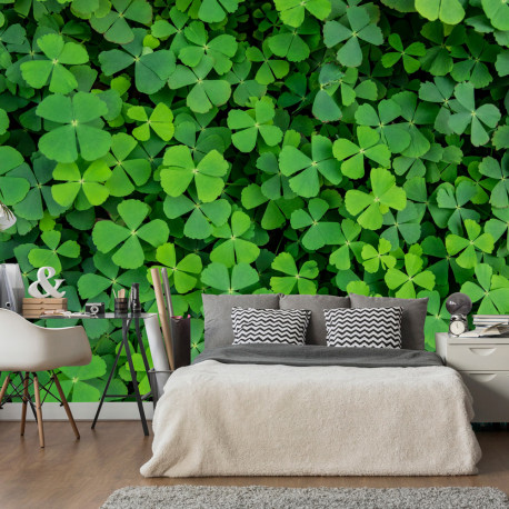 Fototapeet - Green Clover - 350x245