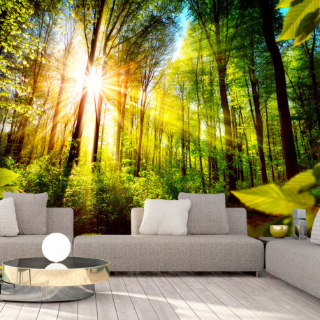 Fototapeet - Forest Hideout - 250x175