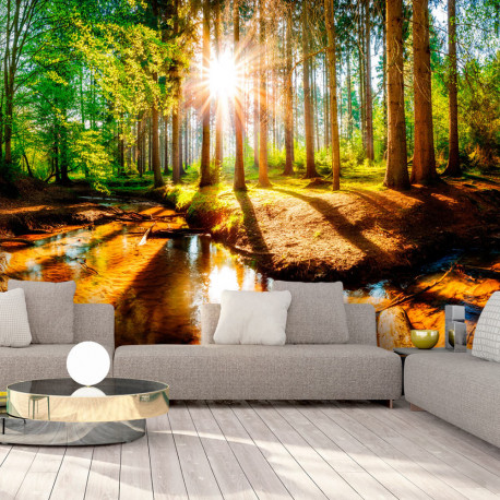 Fototapeet - Marvelous Forest - 150x105