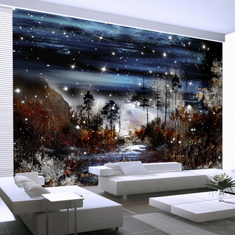 Fototapeet - Night in the forest - 250x175
