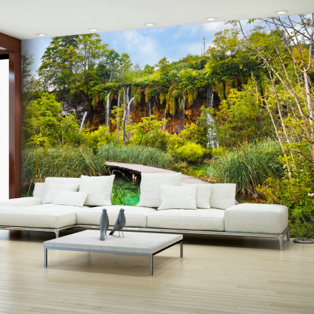 Fototapeet - Green oasis - 200x140