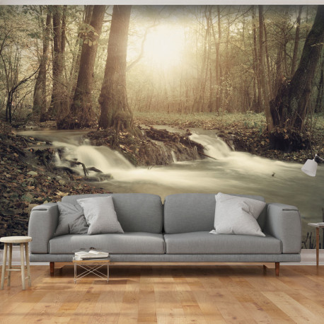 Fototapeet - Forest Cascade - 100x70