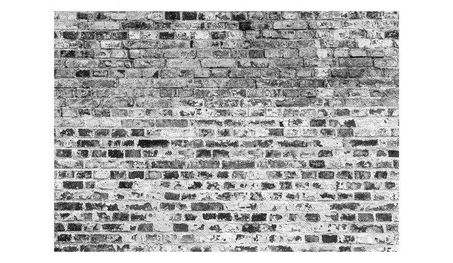 Fototapeet - Border of Greynesses - 150x105