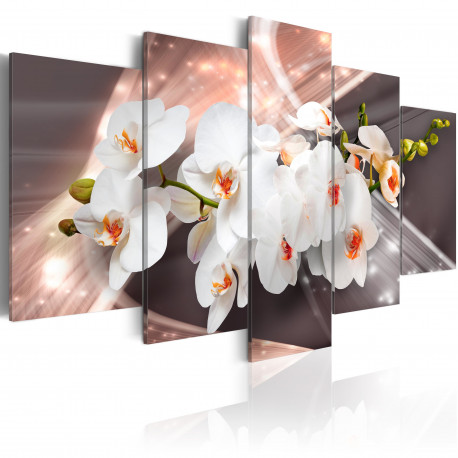 Seinapilt - Echo of Beauty - 100x50