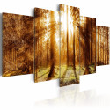 Seinapilt - Forest Illumination - 200x100