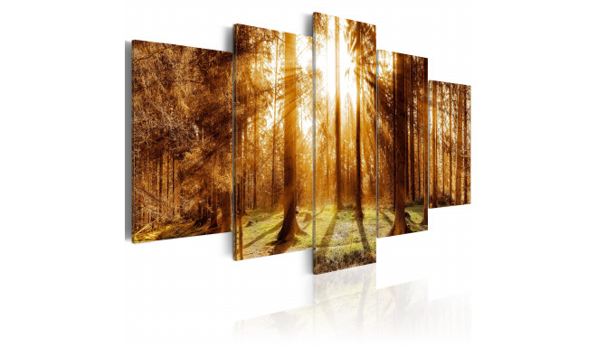 Seinapilt - Forest Illumination - 200x100