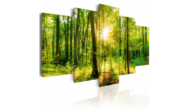 Seinapilt - Forest Tale - 200x100