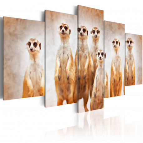 Seinapilt - Family of meerkats - 200x100