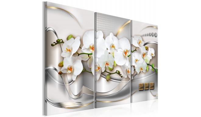 Seinapilt - Blooming Orchids I - 90x60