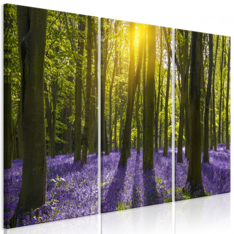 Seinapilt - Hyacinth Field (3 Parts) - 90x60