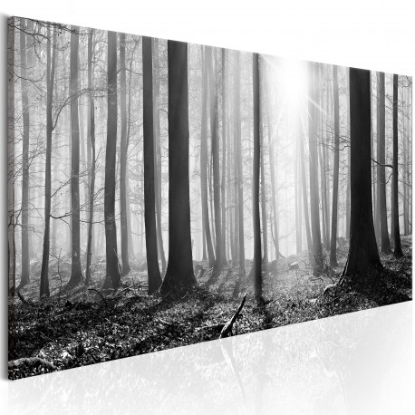 Seinapilt - Black and White Forest - 135x45