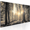 Seinapilt - Forest Sun - 120x40